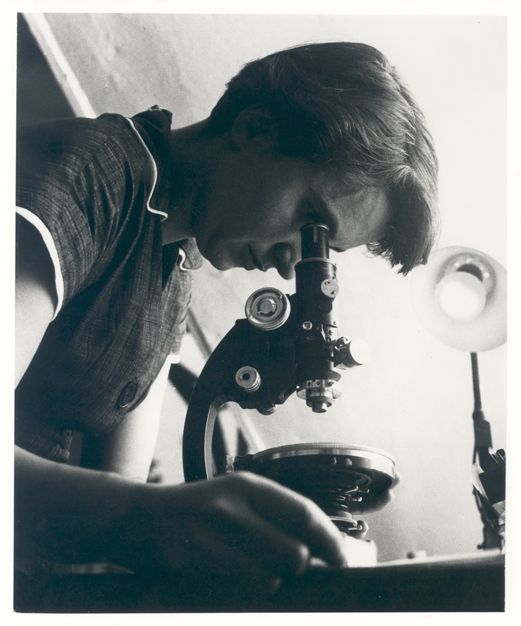 Rosalind Franklin at work. MRC Laboratory of Molecular Biology, CC BY-SA 4.0 , via Wikimedia Commons