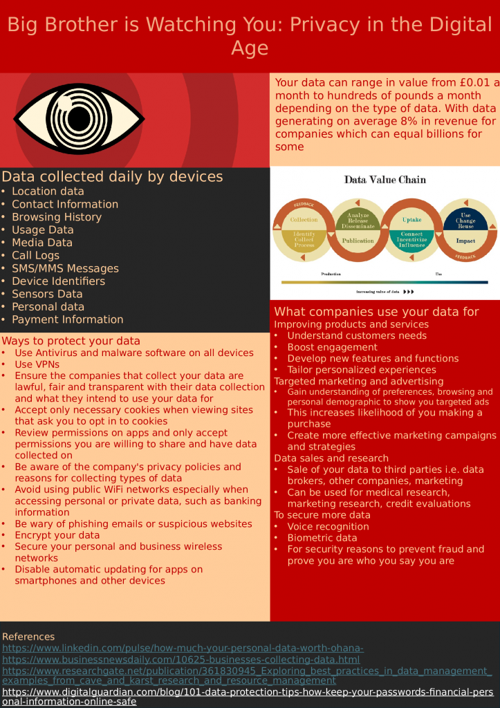 Rosie's poster: Big Brother is Watching You: privacy in the digital age