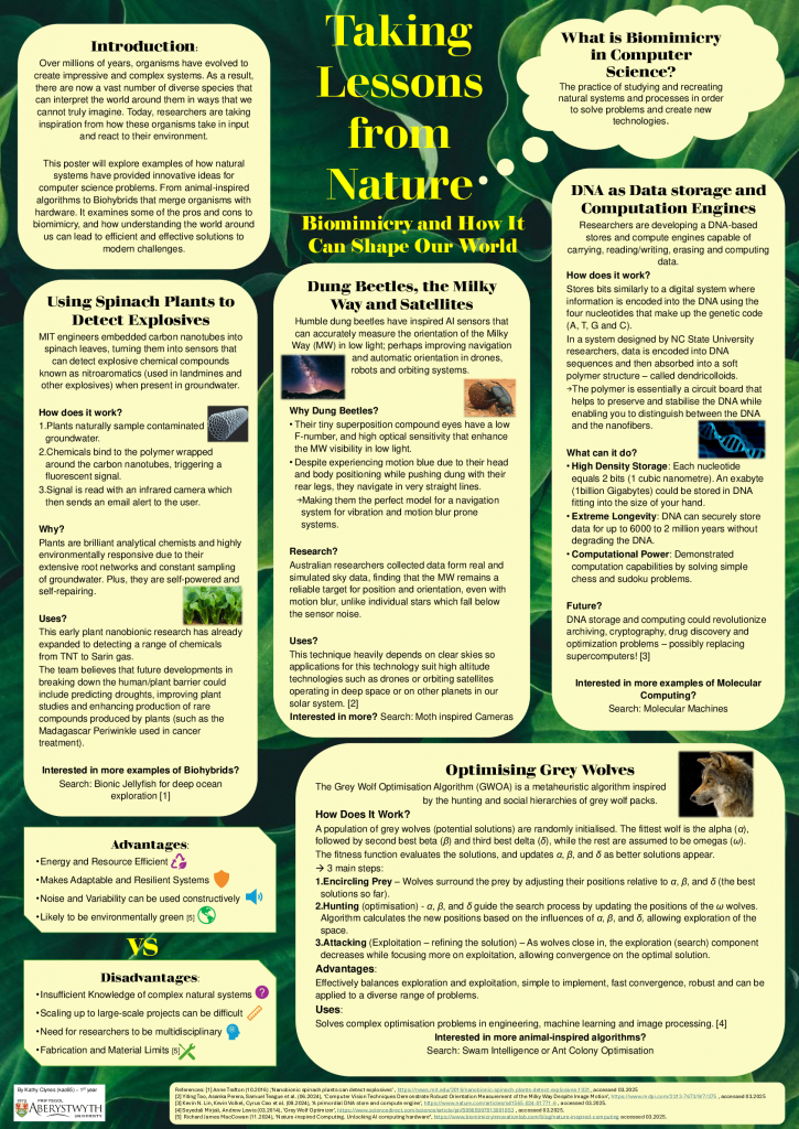 Kathleen's poster: Taking lessons from Nature